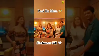 Pari Hu Main ft Shehnaaz Gill | Shehnaaz Gill promote her movie TYFC at TV show Barsatein #shorts