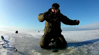 РЫБЫ МНОГО,НО КЛЕВАТЬ ОНА НЕ ХОЧЕТ.Рыбалка на Горе море.Подводные съемки.