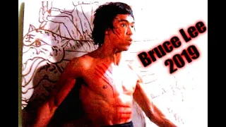 Bruce lee Tribute 2018/2019