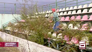 ბათუმის პალმა - ოცნების კუნძული | ბექა ყორშიას სიუჟეტი