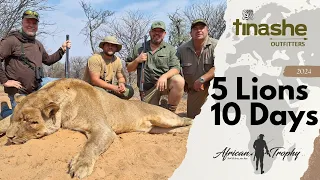 The Ultimate Lion Hunting Experience: 5 Lions in 10 Days. Tinashe Outfitters (Full Film)