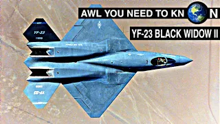 Northrop s Yf-23 Black Widow II | Why  U.S. Air Force Say No to This? #shorts