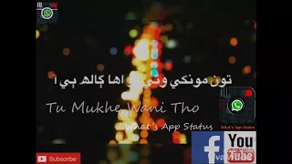 Ton Mokhe Wani Tho || Wazir Shah || What's App Status || Sindhi Song