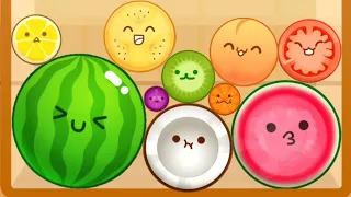 Watermelon Game - Merge Fruits Suika Game 2048