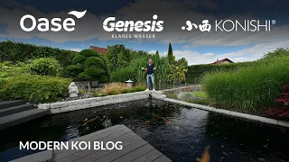 Modern Koi Blog #5480 - Andis Teich nach dem Umbau auf einen reinen Bürstenfilter