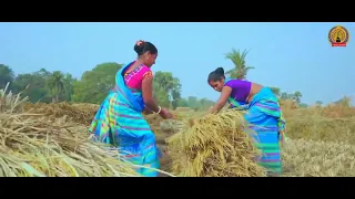 Lukhi Tala//new Santali sohrai status video//2023