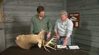 How to score a deer.