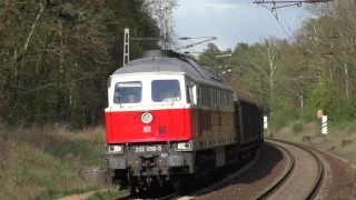 Züge zwischen Mast & Kiefer #1 | Trainspotting in Struveshof