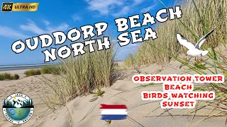 OUDDORP Nordzee Part 1 - Beach, Bird Watching and Sunset | Netherland | GoPro 11 & iSteady Pro 4
