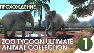 УМОПОМРАЧИТЕЛЬНЫЙ ЗООПАРК: 【Zoo Tycoon: Ultimate Animal Collection】