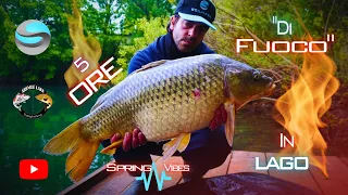 Sessione lampo - Carpe primaverili - New lake SpringVibes - TUTTO In 5 Ore - #carpfishing2024 #carp