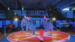 Jordan World Circus