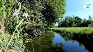 Calm River in Nature - River Sounds to Sleep and Relax