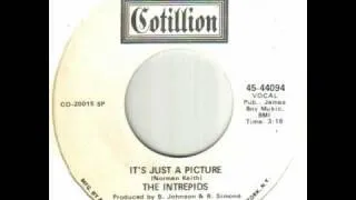 The Intrepids - It's Just A Picture.wmv