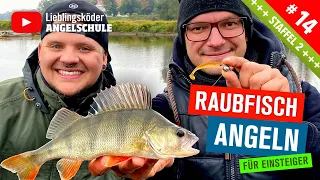 So wirst du Angelprofi 🔥🎣🐟🥳🚀🙌