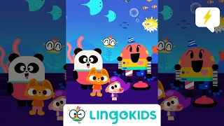 Let’s visit AQUATIC ANIMALS 🐳🦦 in our Lingokids NEW AQUARIUM SONG 🎶