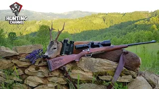 NAJBOLJI ODSTRELI SRNDACA 2019/20 KOMPILACIJA 2.DEO HUNTING OF ROEBUCK 2019/20 KOMPILATION PART 2.