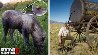 8 Amazing Details You Didn't Know About #25 (Red Dead Redemption 2)