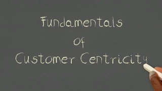 About the Fundamentals of Customer Centricity Course