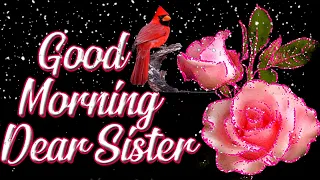 Good Morning My Sister ||New Good Morning Wishes & Dua﷽NNB Wishes & Whatsapp Status Video