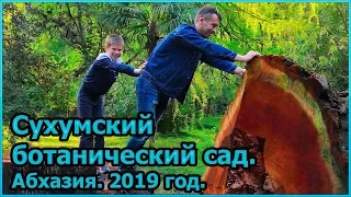 Сухумский ботанический сад. Абхазия. 2019 год [№12]