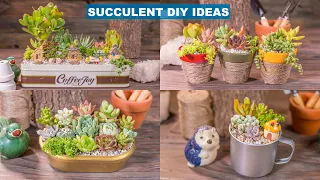 4 Succulent DIY Ideas & Recycling Old Things| 4 Ý tưởng trang trí sen đá | 多肉植物| 다육이들 | Suculentas