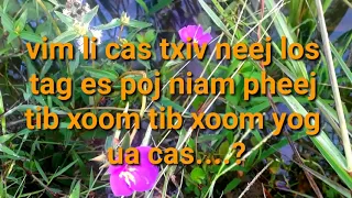 Ua cas txiv neej twb thau poj niam pheej xoom8/9/2020