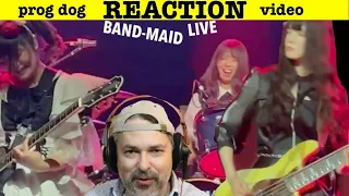 Band Maid [Live in San Francisco] "From Now On" (reaction ep. 716)