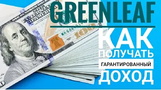 Как получать доход в Гринлиф! Маркетинг компании Greenleaf.