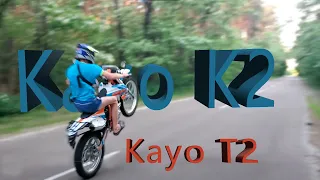 Kayo K2 | Kayo T2 | Горка | Поле | Ліс
