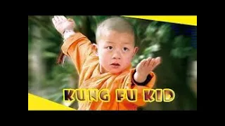 Kung Fu kid pelicula completa español latino