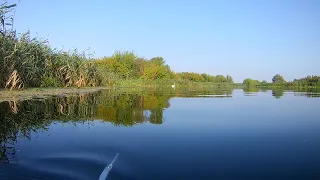 Подводная охота Сезон 2019.Воронежская область.