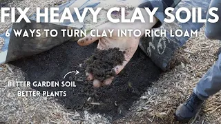 6 Ways to Fix Clay Garden Soil | EASY to HARD Methods