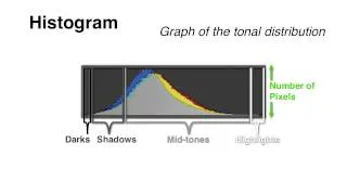 Your Camera's Histogram: Explained