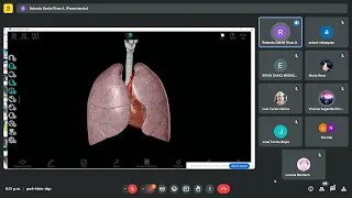 SEMIOLOGIA RADIOGRAFIA DE TORAX