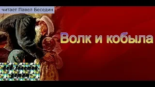 Волк и кобыла  Лев Толстой  читает Павел Беседин