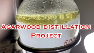 Agarwood distillation project