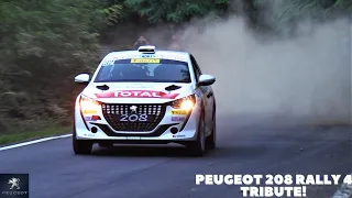 PEUGEOT 208 RALLY 4 TRIBUTE | 3 CYLINDERS 1.2 TURBO RALLY SOUND! [HD]