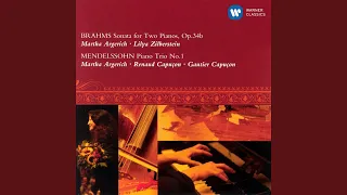 Sonata for 2 Pianos in F Minor, Op. 34b: I. Allegro non troppo (Live)