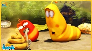 Larva Cartoon 2021 🥟 Comedy Video ►The Best Of Cartoon Box 🎈Hilarious Situations by Larva