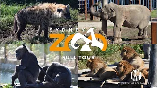 Sydney Zoo | Bungarribee, Western Sydney - Full Park Tour