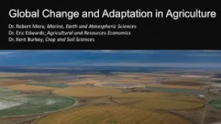 Global Change and Adaptation in Agriculture