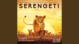 Serengeti Theme