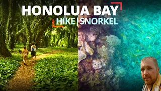 Honolua Bay Snorkel | HONOLUA BAY | Best Snorkel Spots Maui