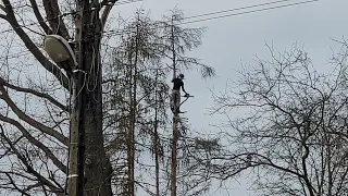 Arboryści Kaskaderzy są w śród nas :) Pyskówka od 12:40 Ku przestrodze, surowy materiał bez montażu