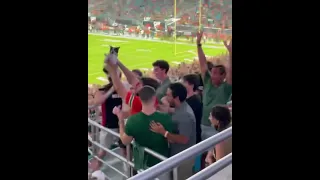 The Cat That Stole The Show At Hard Rock Stadium At Miami Hurricanes - Appalachian State Game