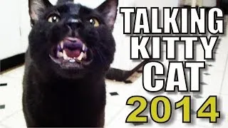 Talking Kitty Cat 31 - Shelby's Back Rub