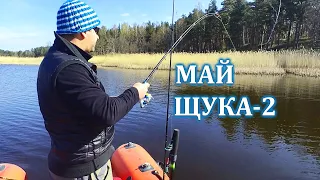 Щука на живца. День 2.