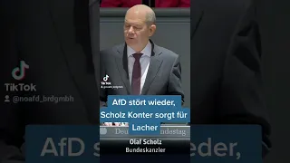 AfD brüllt wieder rein, Scholz Konter sorgt für Lacher