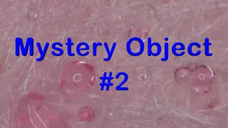 Mystery Object # 2  - Microscope Learning Video Mage Math